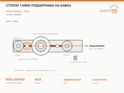 Стопор гайки подшипника на КАМАЗ, каталожный номер 6520-2403043